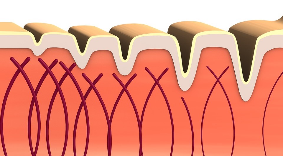What is collagen?